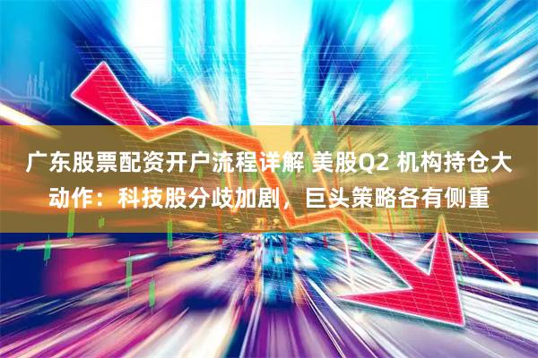 广东股票配资开户流程详解 美股Q2 机构持仓大动作：科技股分歧加剧，巨头策略各有侧重